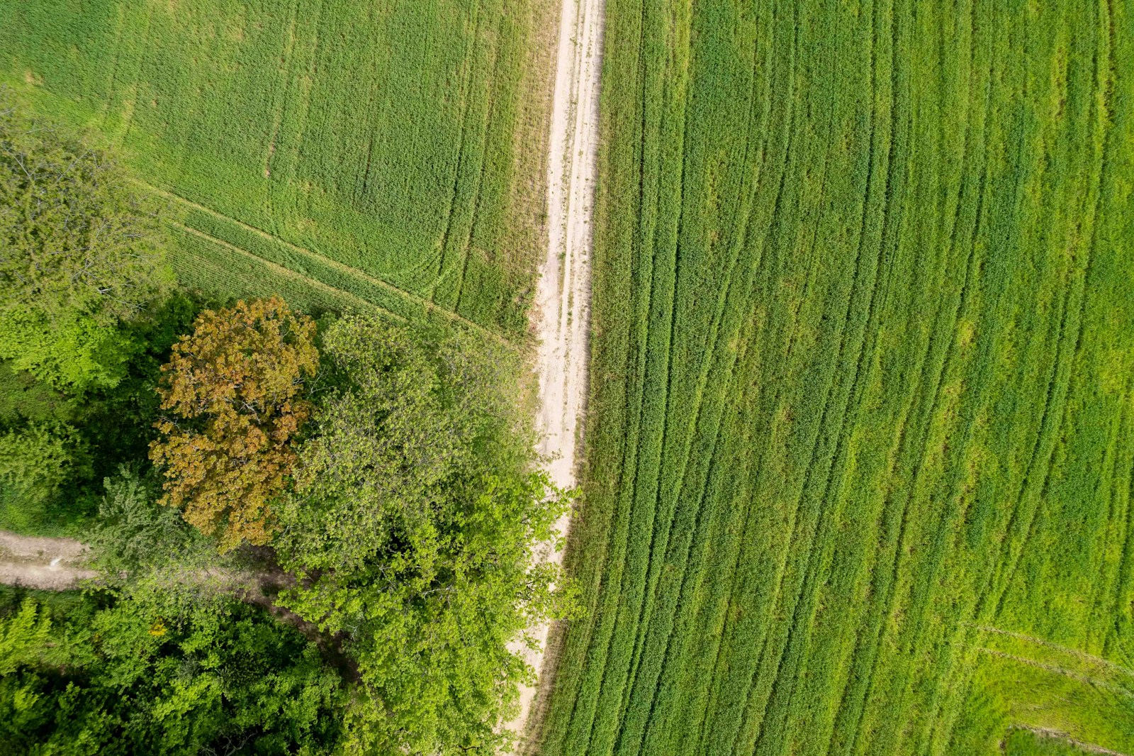 5 questions to ask before you buy vacant land