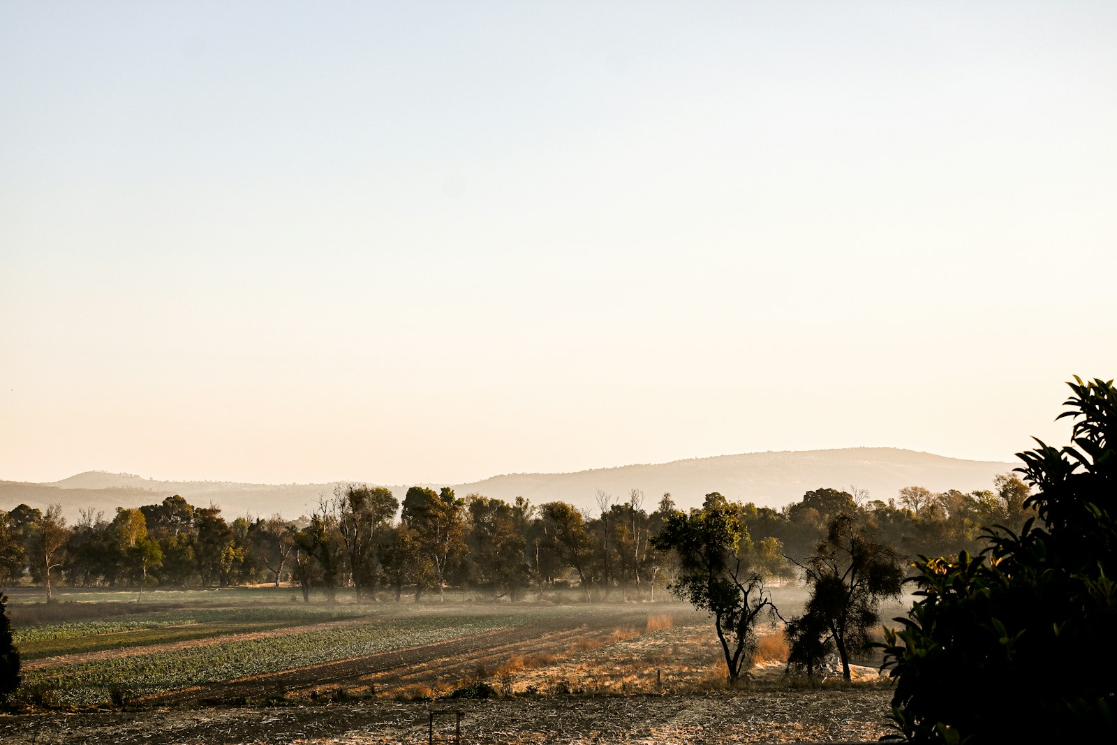 What fall looks like on your land