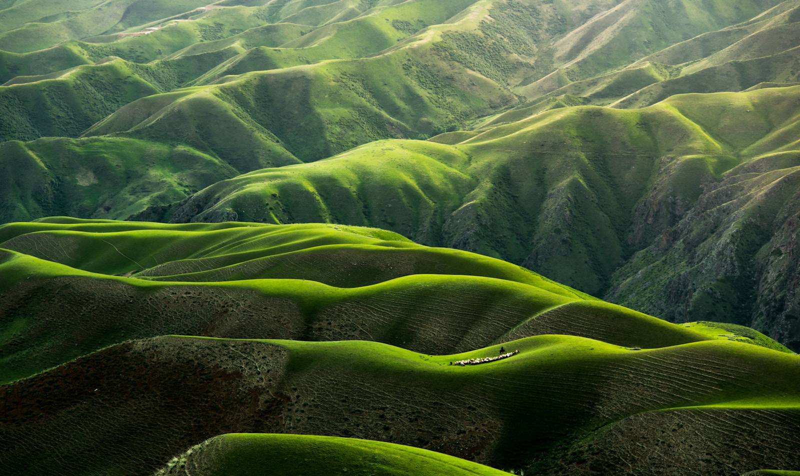Open land landscape