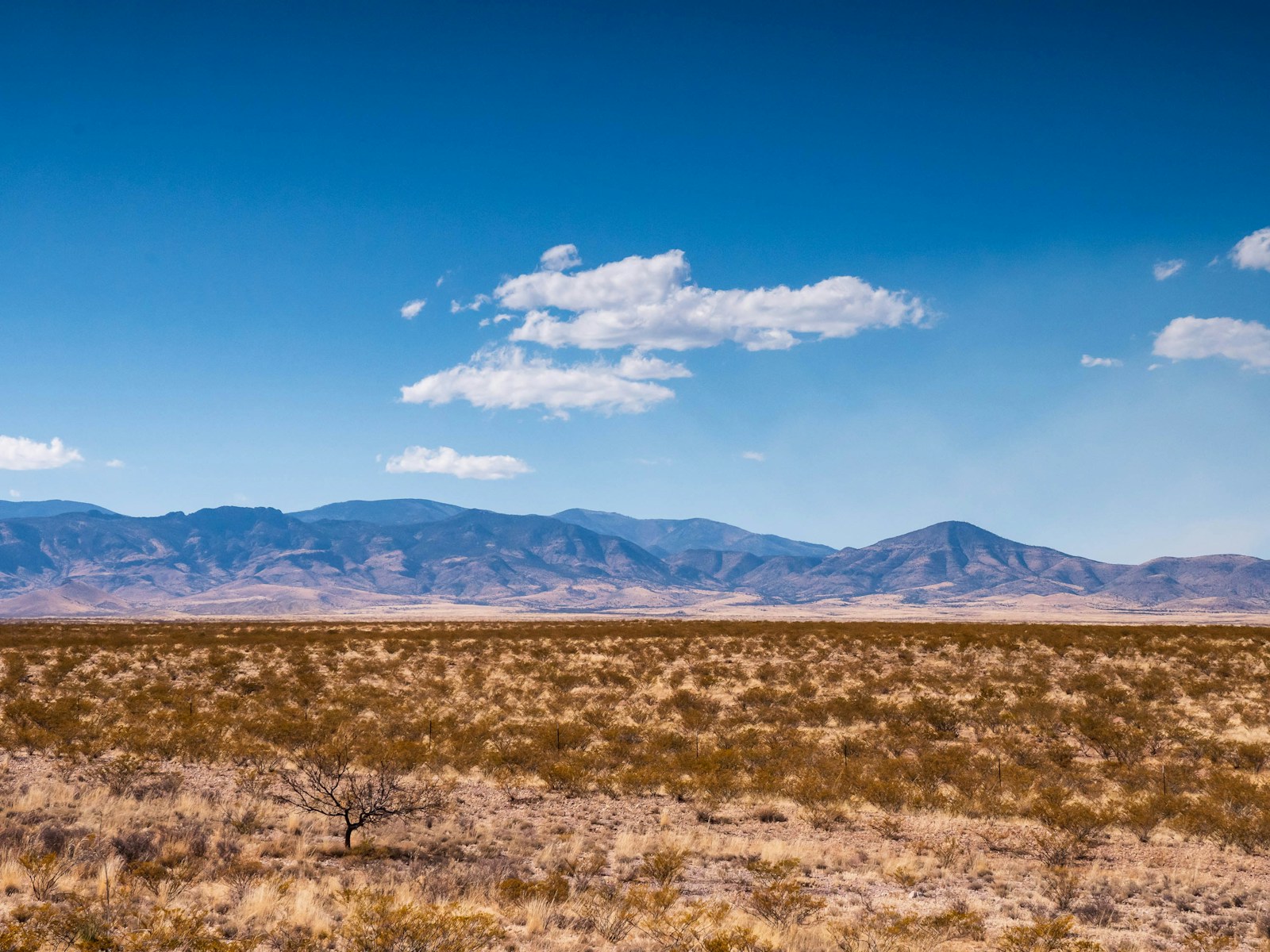 High desert land in New Mexico