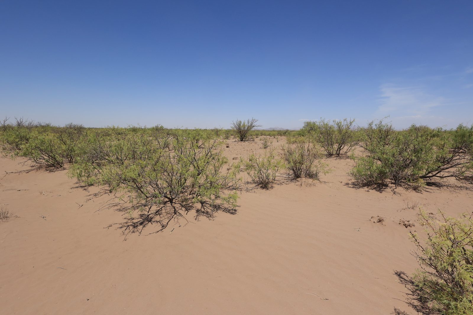 0.5 acre property in Luna, NM