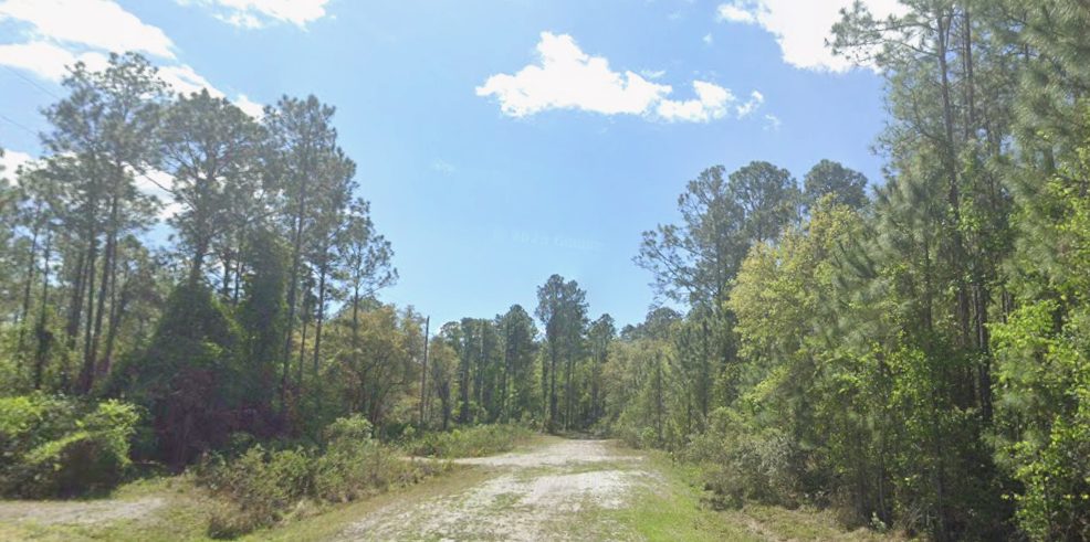 0.23 acre property in Putnam, FL