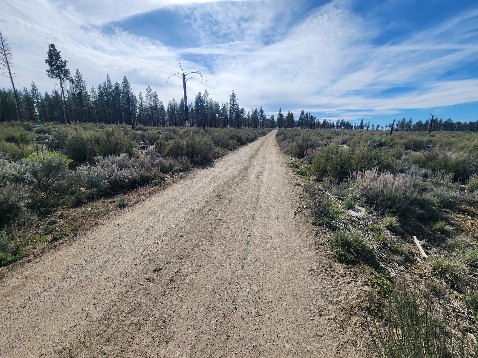 2.5 acre property in Klamath, OR