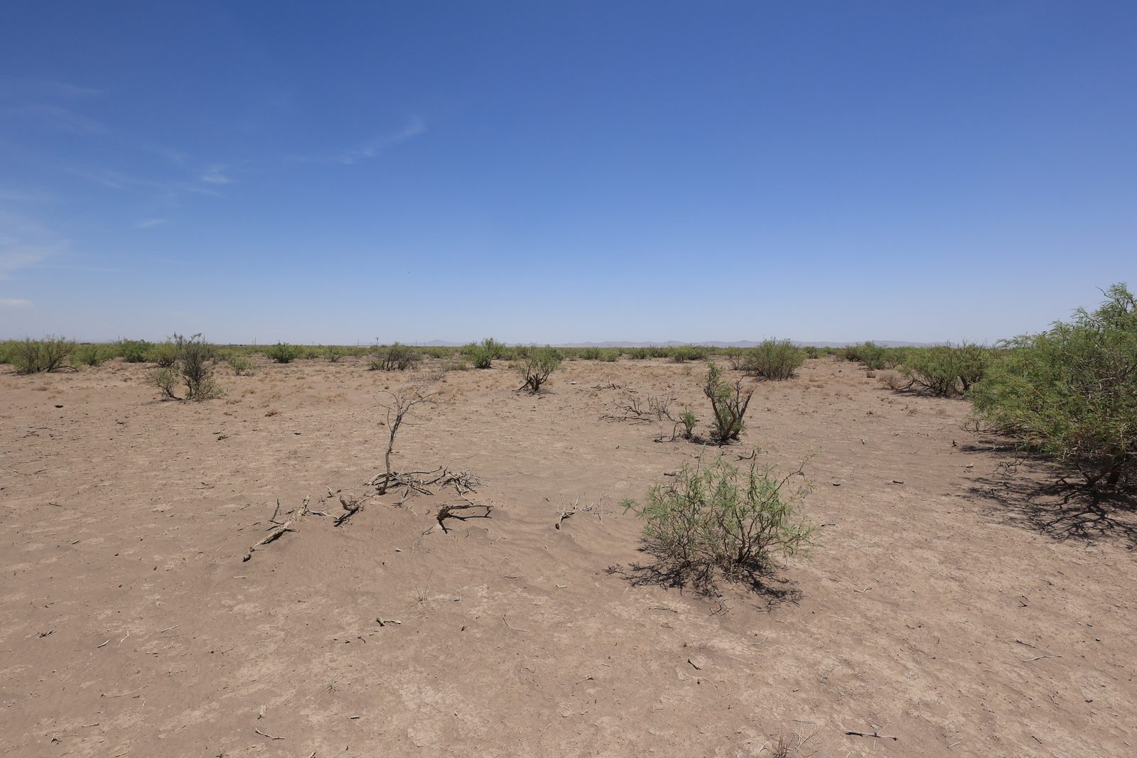 0.5 acre property in Luna, NM