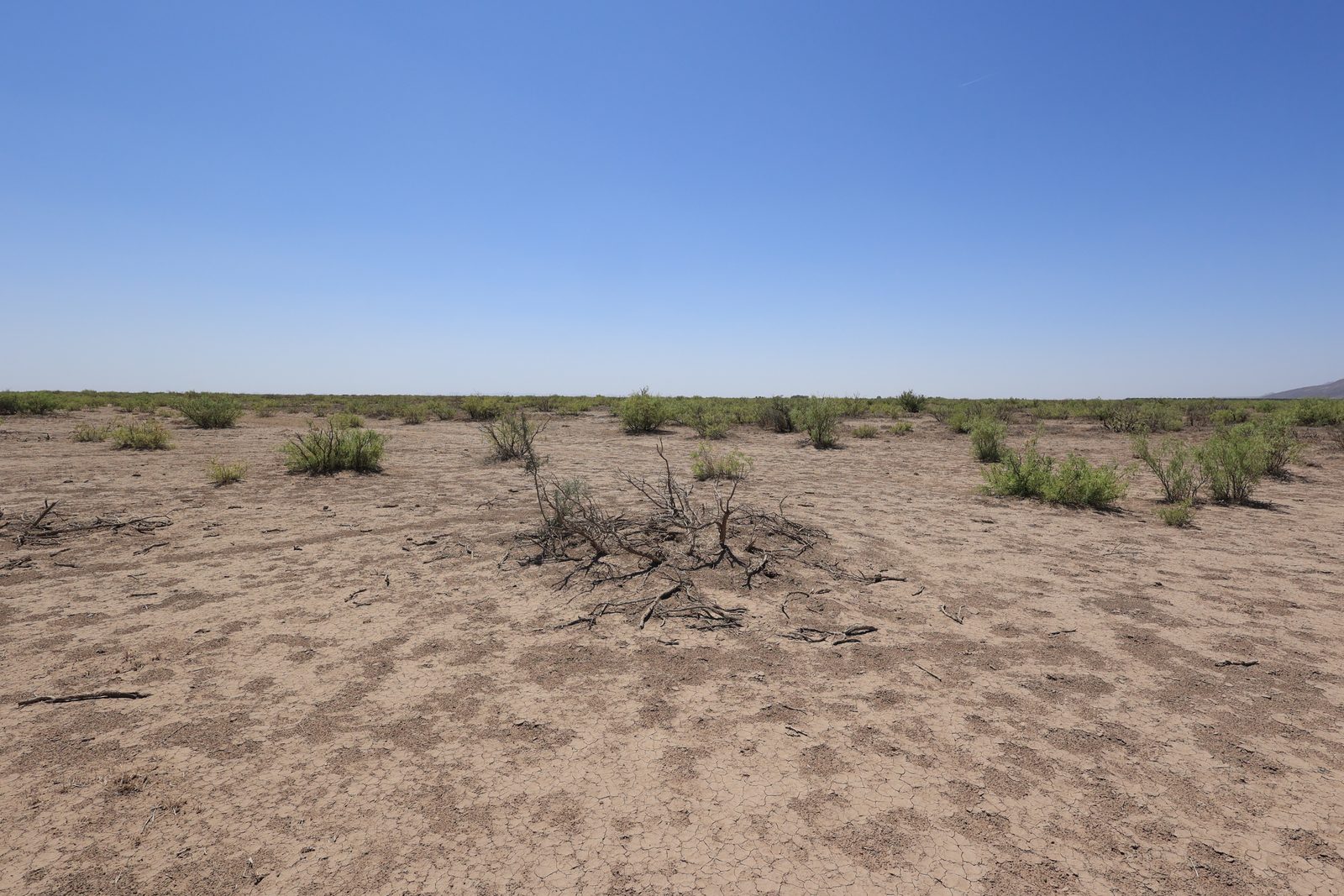 0.5 acre property in Luna, NM