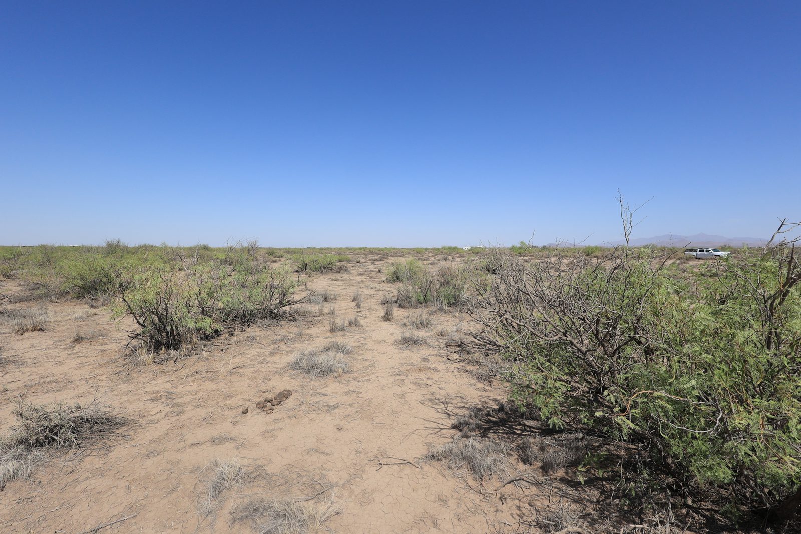 0.5 acre property in Luna, NM