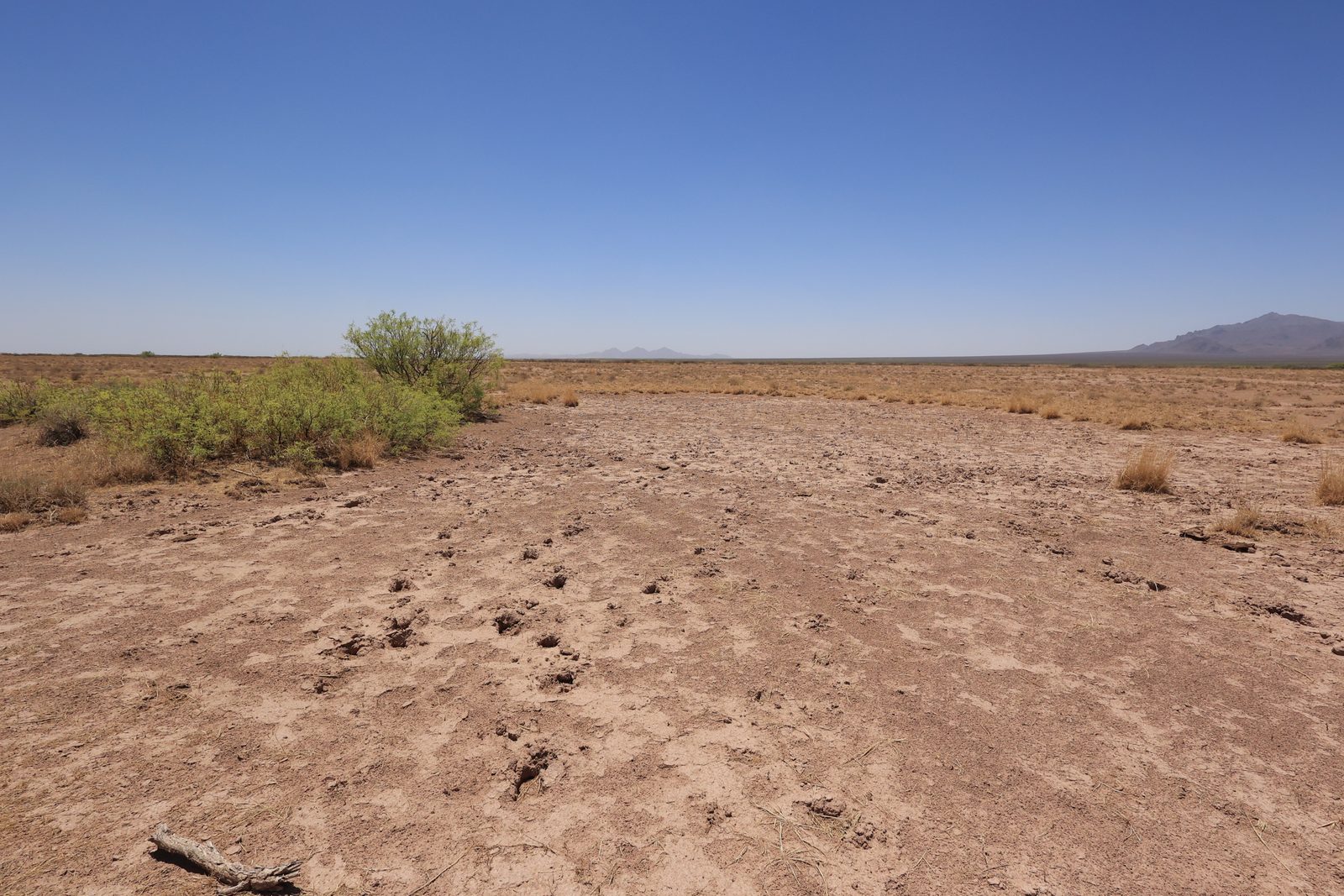 4.5 acre property in Luna, NM
