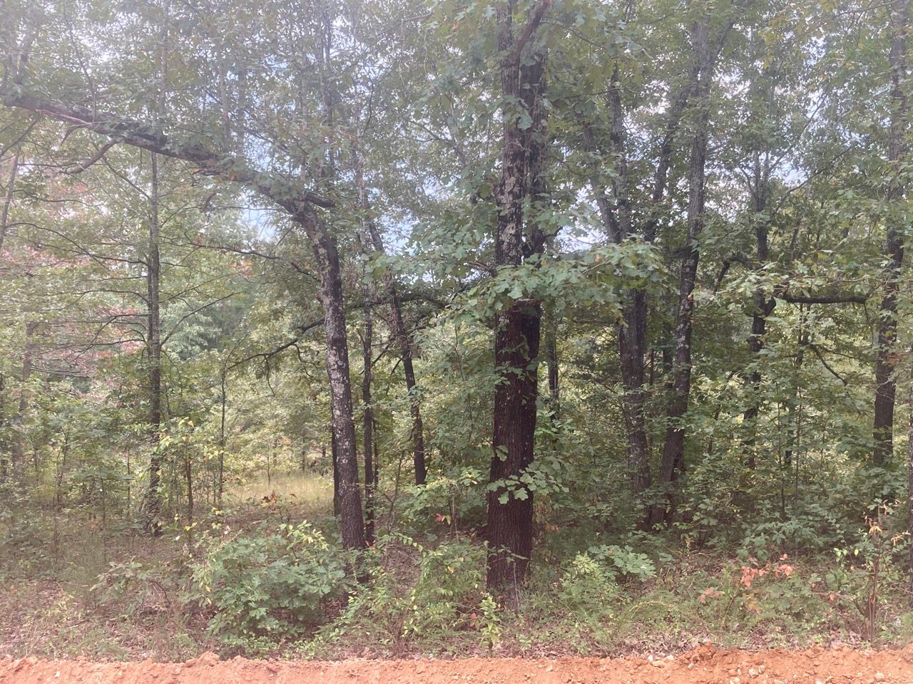 0.3 acre property in Sharp, AR