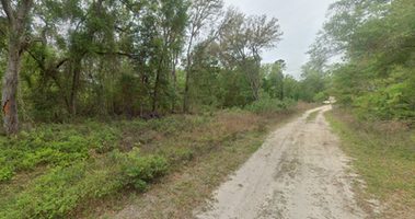 0.2 acre property in Putnam, FL