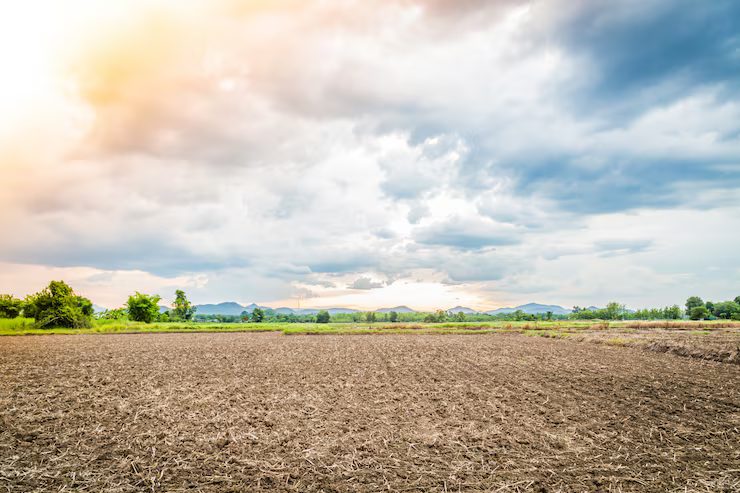 1 acre property in Luna, NM