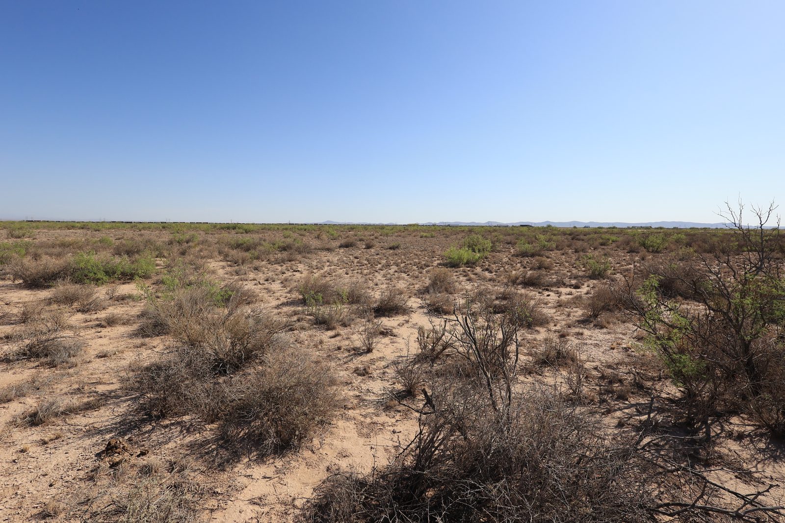 0.5 acre property in Luna, NM