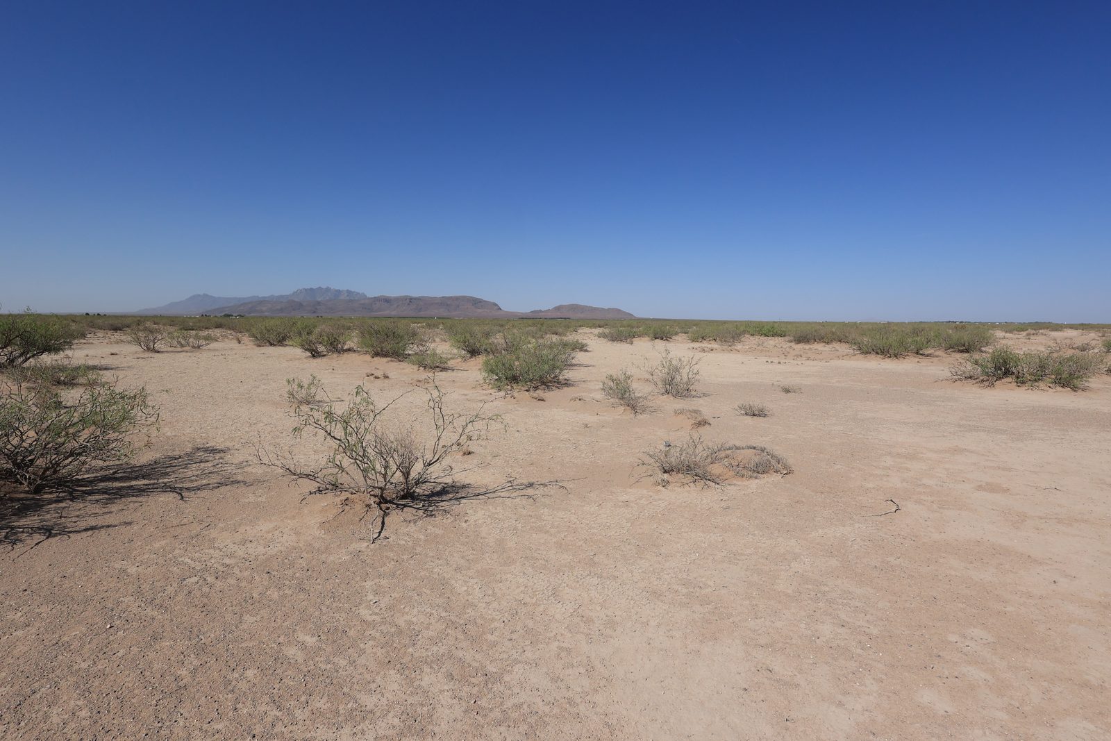 0.5 acre property in Luna, NM